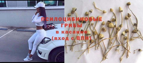 mdpv Белокуриха