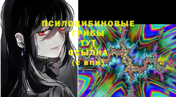 гидра Белоозёрский