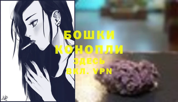 гидра Белоозёрский