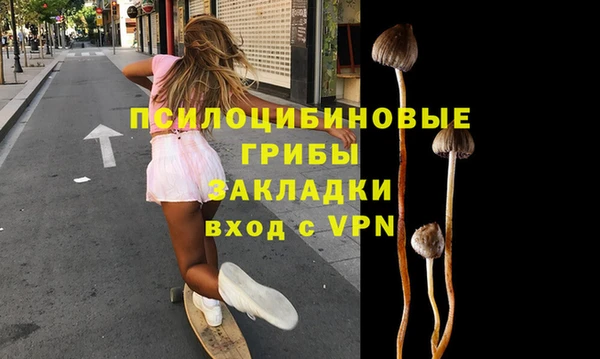 гидра Белоозёрский