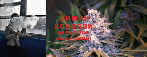 гидра Белоозёрский