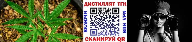 ТГК Wax  Купить где  Талдом 
