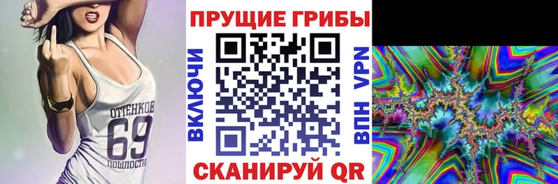 Псилоцибиновые грибы Cubensis  Купить где  Талдом 